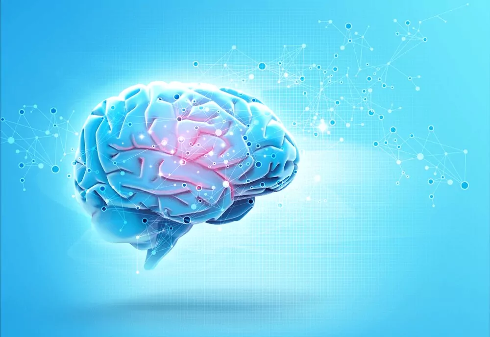 Fundamentos de Psicobiología